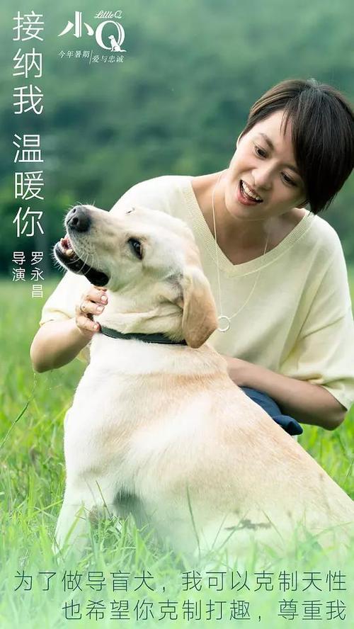 国内专科国外本科学历